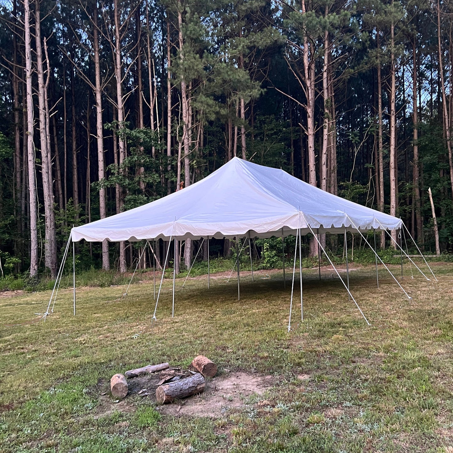 20' x 30' Canopy Pole Tent