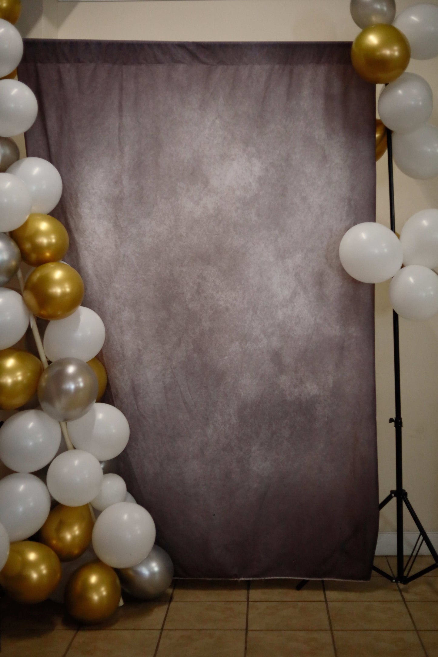 Portrait Backdrop and Tripods