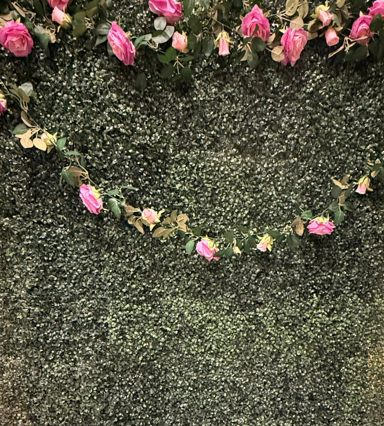 Walls and Backdrops
