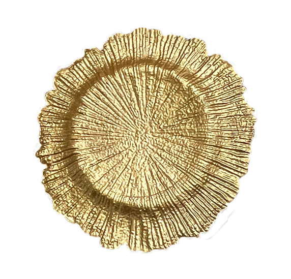 Reef Acrylic Charger