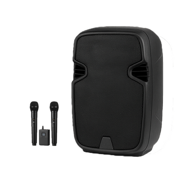 Microfone & Speaker System