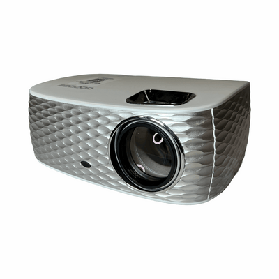 Video Projector and Screen